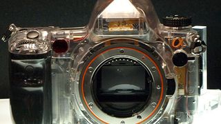 Sony's Next Gen Alpha A900 DSLR: 25 Megapixels, Due By September